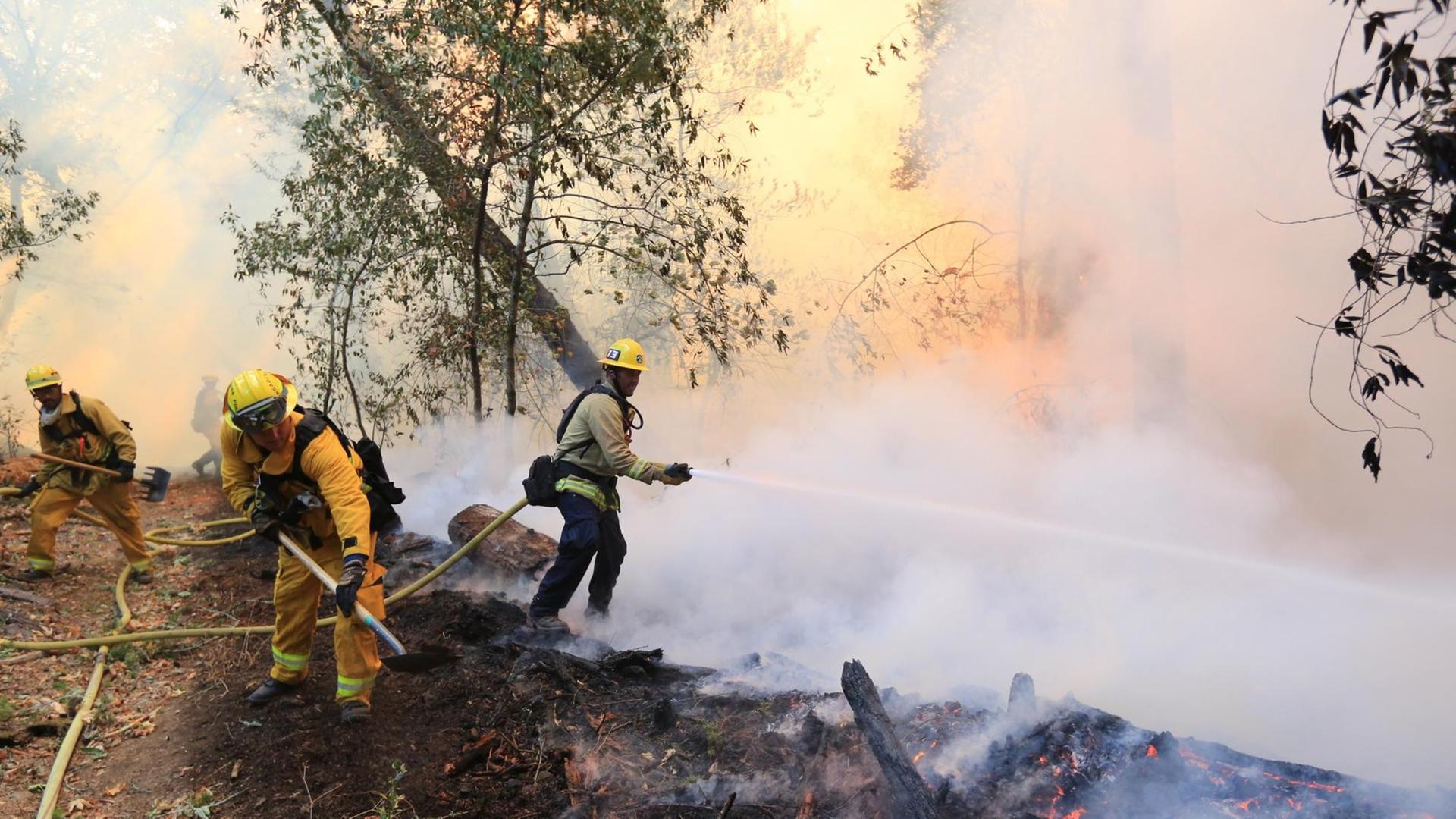 Feuerwehrmänner kämpfen gegen die Flammen in Santa Rose in Nord Kalifornien. Feuerwehrmänner kämpfen gegen die Flammen in Santa Rose in Nord Kalifornien.