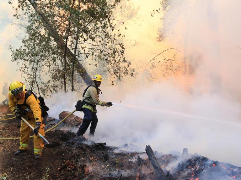 Feuerwehrmänner kämpfen gegen die Flammen in Santa Rose in Nord Kalifornien.