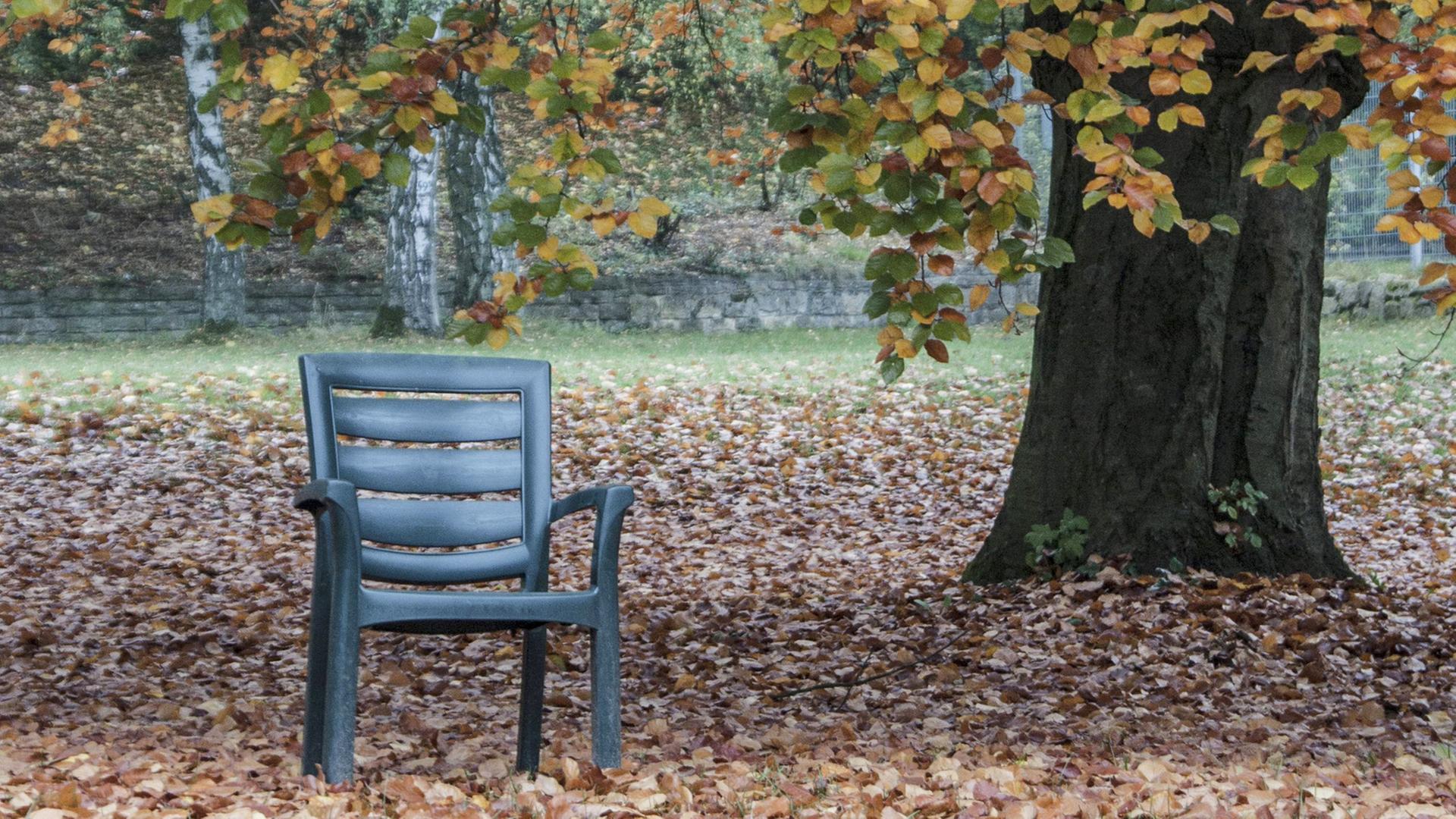 Ein verlassenerr Stuhl unter einem Baum im Herbst