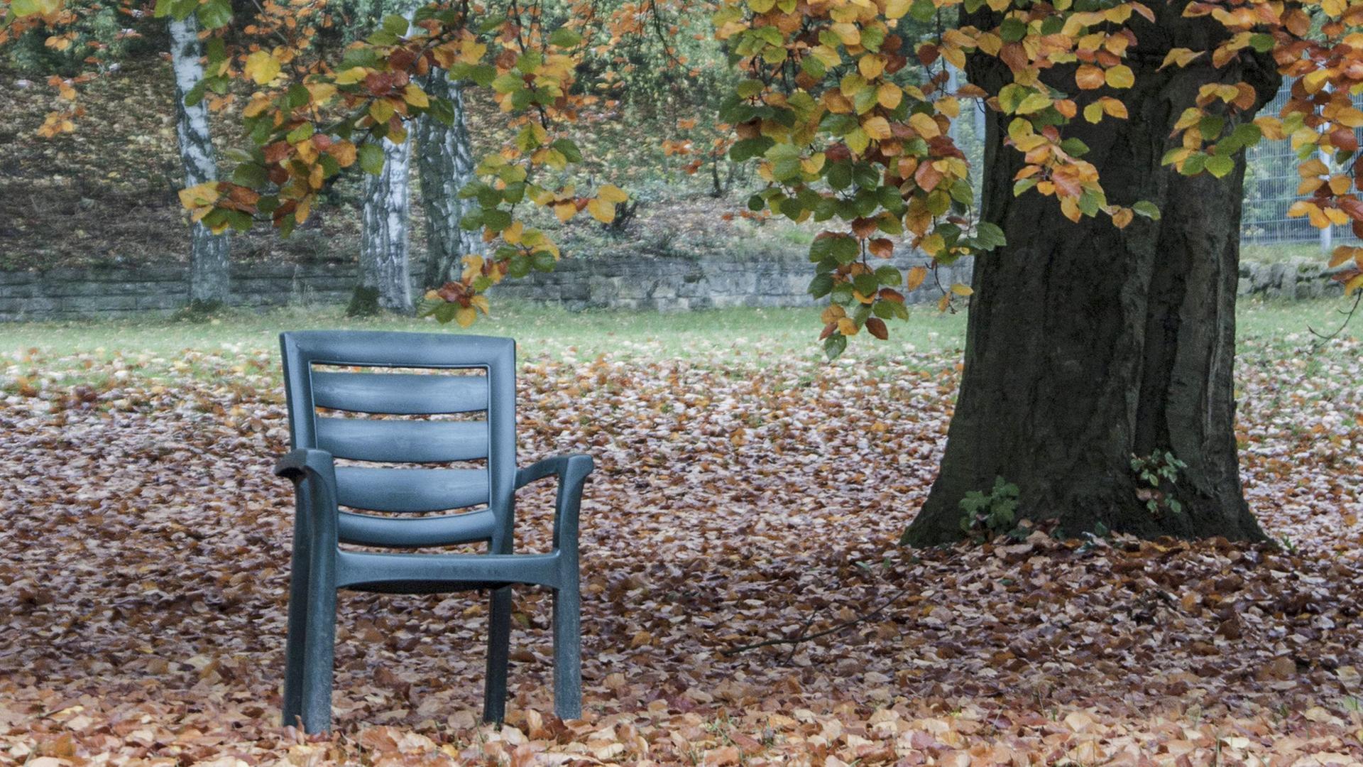 Ein verlassenerr Stuhl unter einem Baum im Herbst Ein verlassenerr Stuhl unter einem Baum im Herbst
