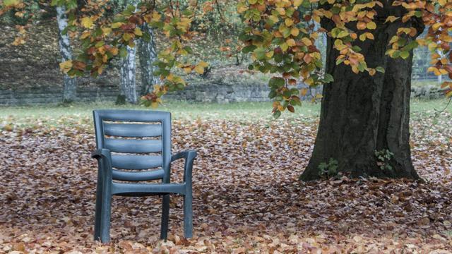 Ein verlassenerr Stuhl unter einem Baum im Herbst