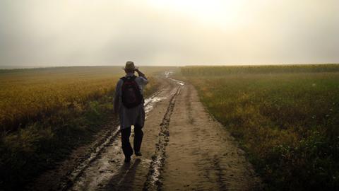 Ein Mann geht einen Feldweg entlang.