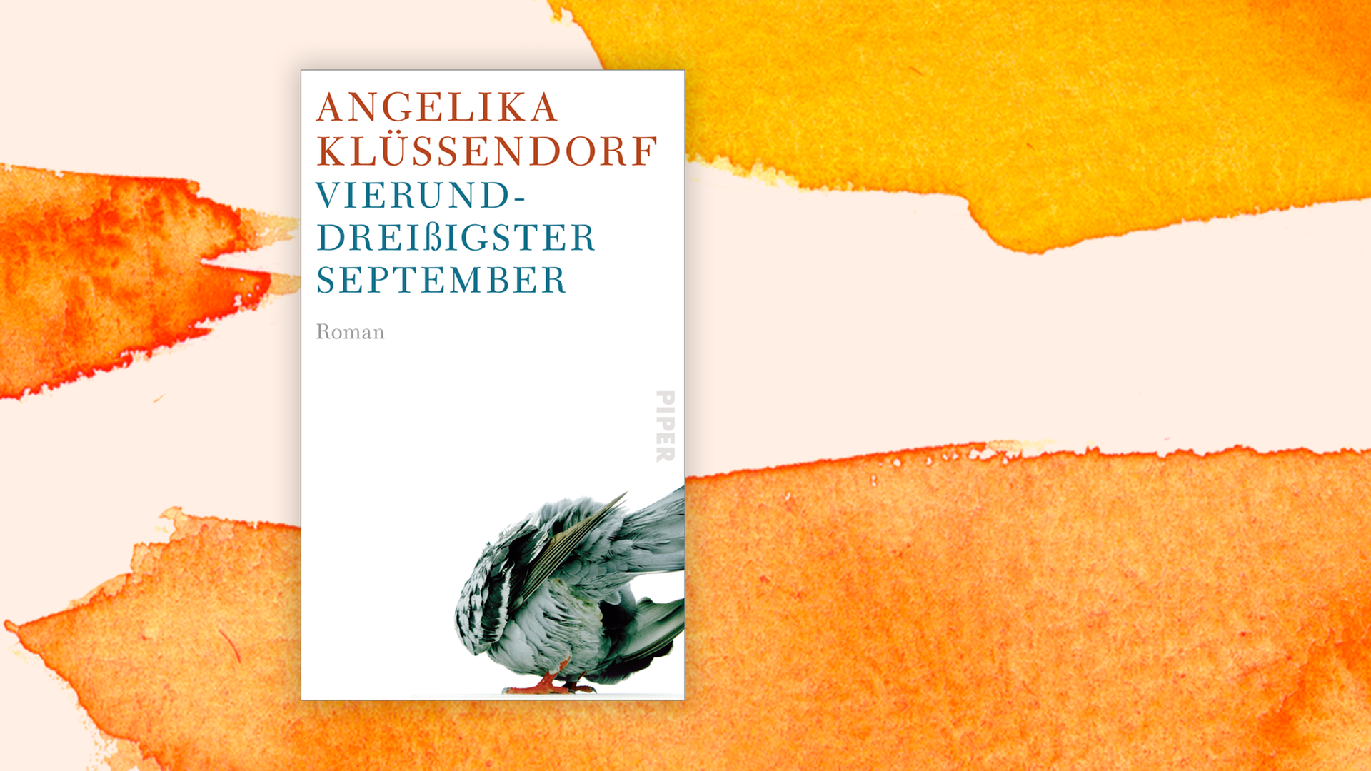 Zu sehen ist das Cover des Buchs "Vierunddreißigster September" von Angelika Klüssendorf.