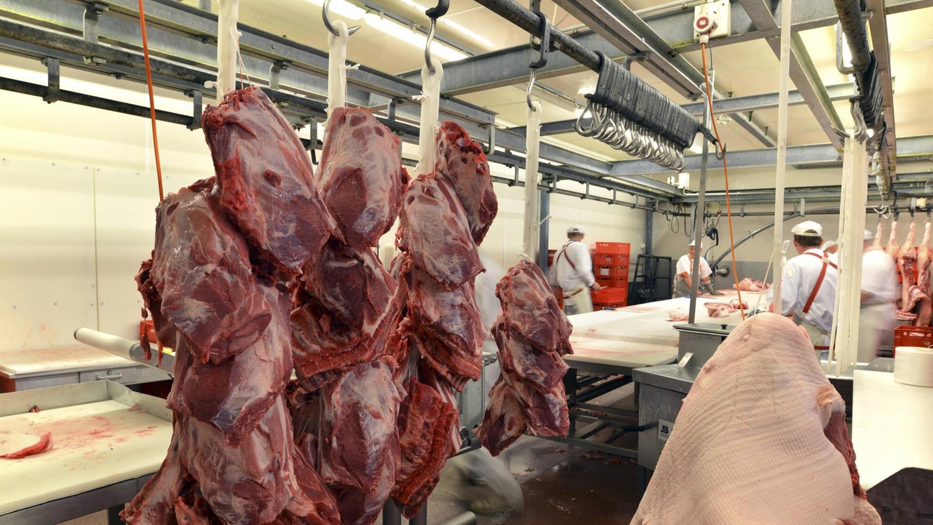 Fleischverarbeitung in einem Schlachtbetrieb Fleischverarbeitung in einem Schlachtbetrieb