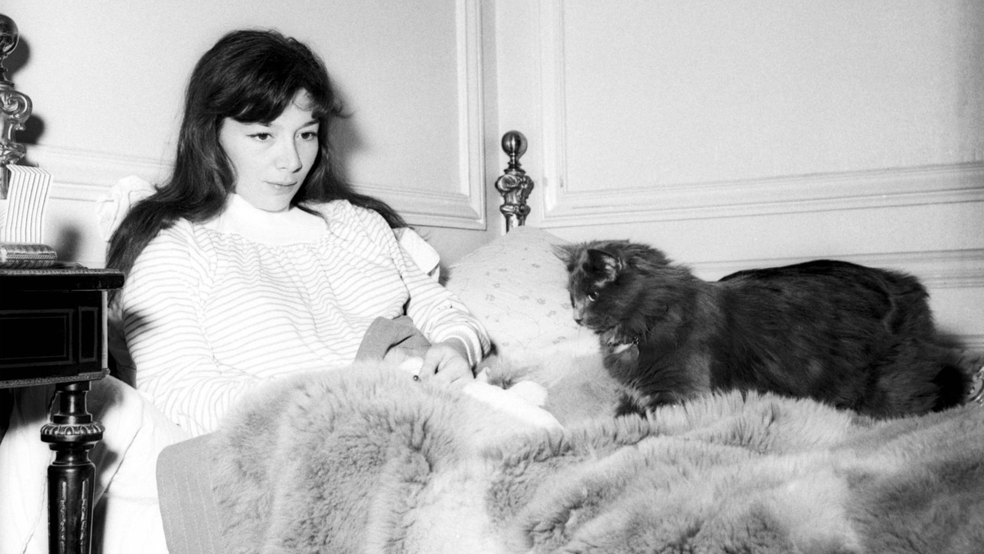 Schwarz-weiß Bild: Juliette Gréco (1954) sitzt im Bett. Neben ihr liegt eine Katze. Schwarz-weiß Bild: Juliette Gréco (1954) sitzt im Bett. Neben ihr liegt eine Katze.