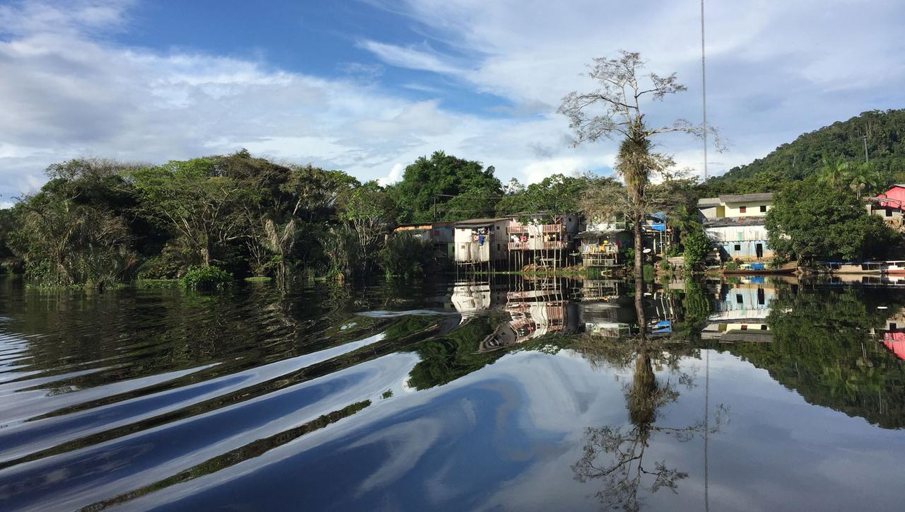 Am Rio Negro im brasilianischen Amazonasgebiet. Am Rio Negro im brasilianischen Amazonasgebiet.