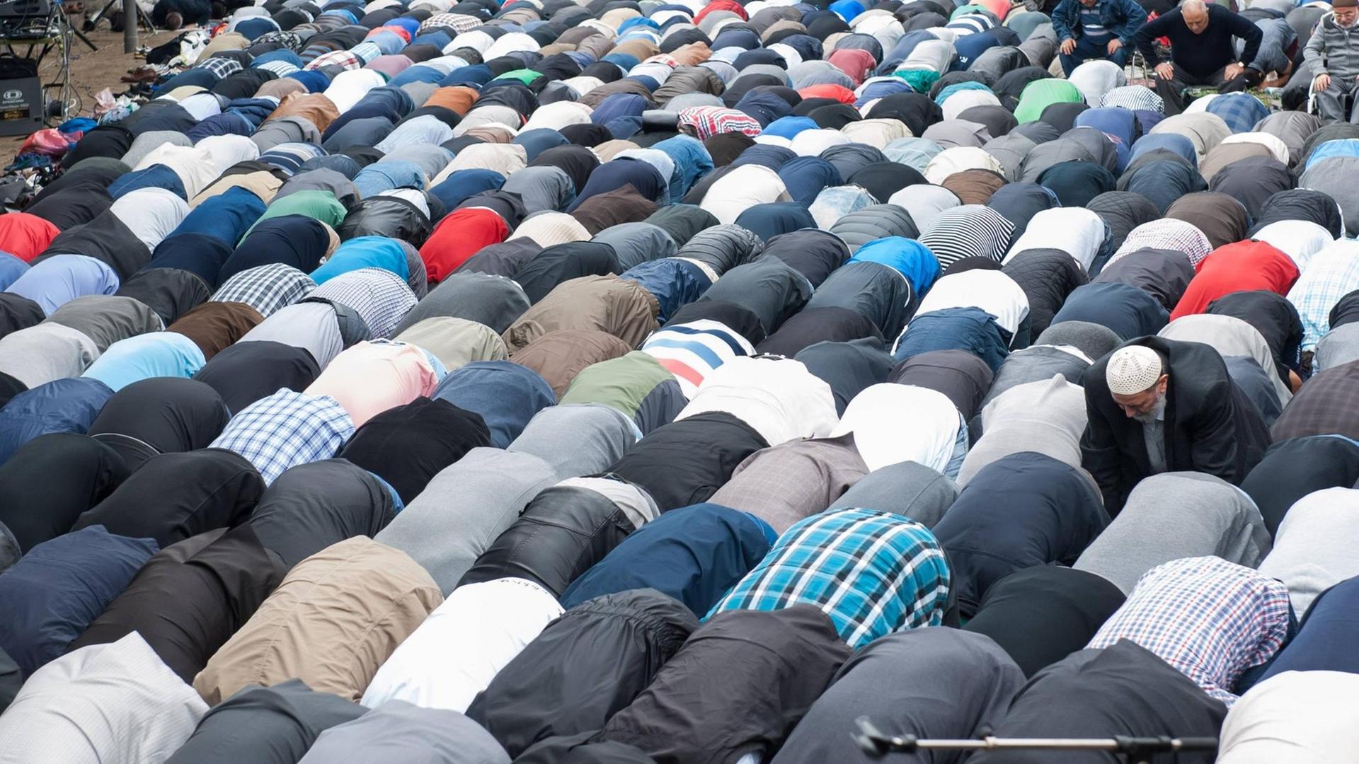 Männer beten auf einer Kundgebung gegen Islamophobie und Rassismus in Berlin. Männer beten auf einer Kundgebung gegen Islamophobie und Rassismus in Berlin.