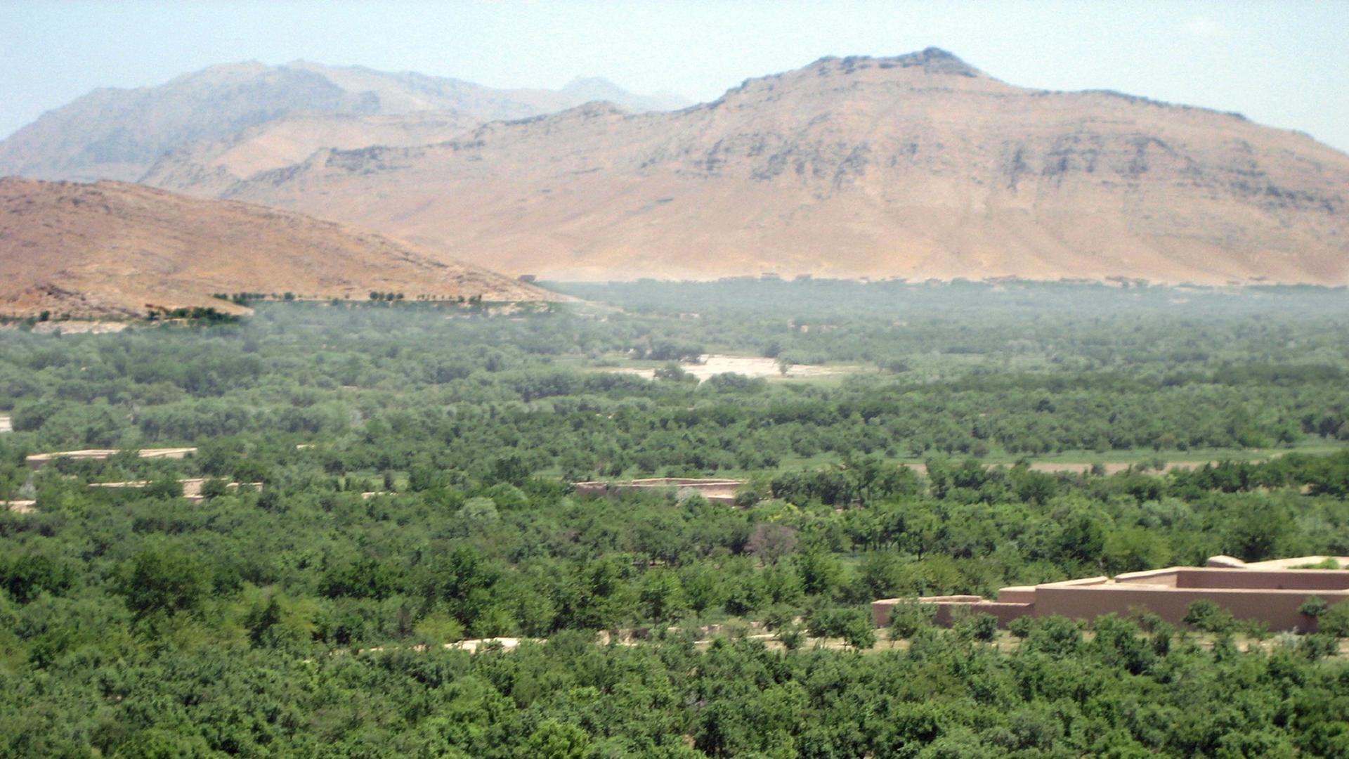 Blick über Wälder der südafghanischen Provinz Urusgan auf die Berge des Hindukusch. Blick über Wälder der südafghanischen Provinz Urusgan auf die Berge des Hindukusch.