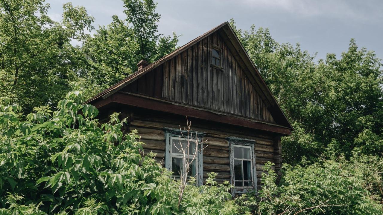Ein altes Holzhaus ist umringt von Dickicht. Ein altes Holzhaus ist umringt von Dickicht.