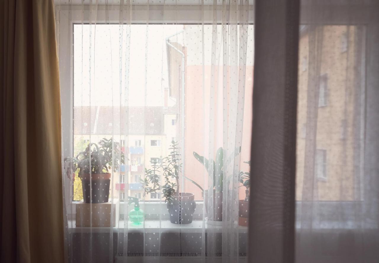 Ausblick aus dem Fenster durch Gardinen. Zu sehen sind auch einige auf der Fensterbank stehenden Zimmerpflanzen. Ausblick aus dem Fenster durch Gardinen. Zu sehen sind auch einige auf der Fensterbank stehenden Zimmerpflanzen.