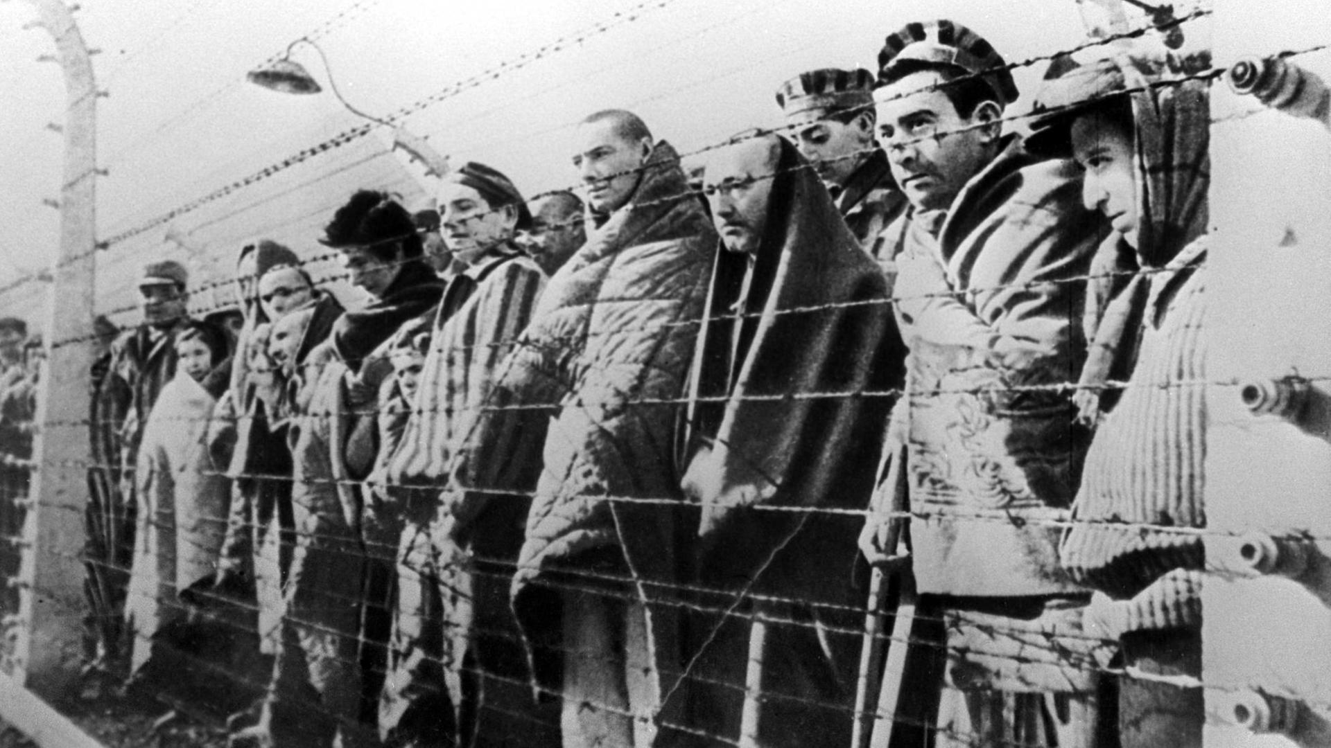 Hinter Stacheldraht stehen Menschen im Vernichtungslager Auschwitz 1945, die Aufnahme ist schwarz-weiß