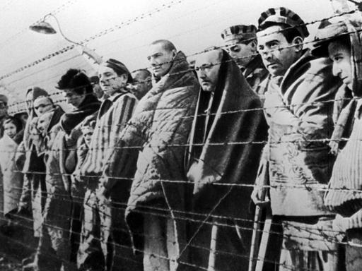 Hinter Stacheldraht stehen Menschen im Vernichtungslager Auschwitz 1945, die Aufnahme ist schwarz-weiß