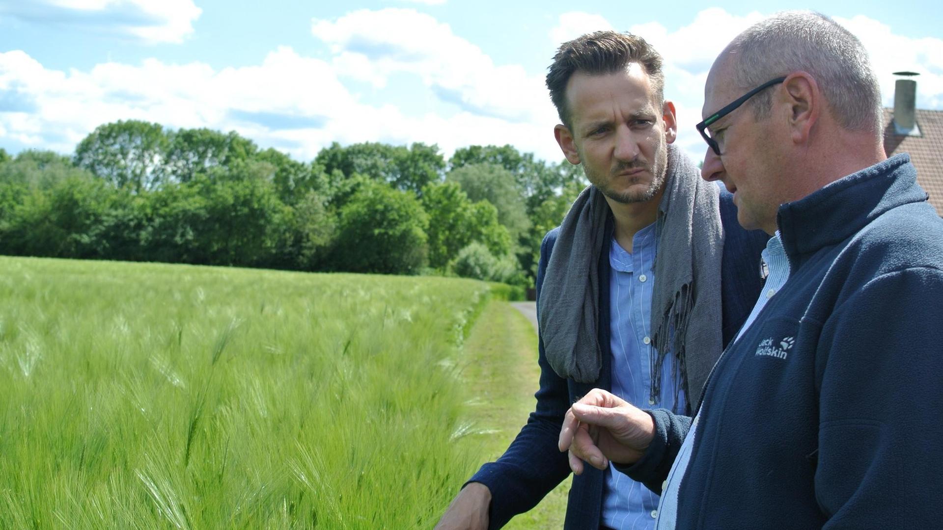 Landwirt Reiner Meyer zeigt Benjamin Piel, Chefredakteur des Mindener Tageblatts, die Wintergerste. Landwirt Reiner Meyer zeigt Benjamin Piel, Chefredakteur des Mindener Tageblatts, die Wintergerste.