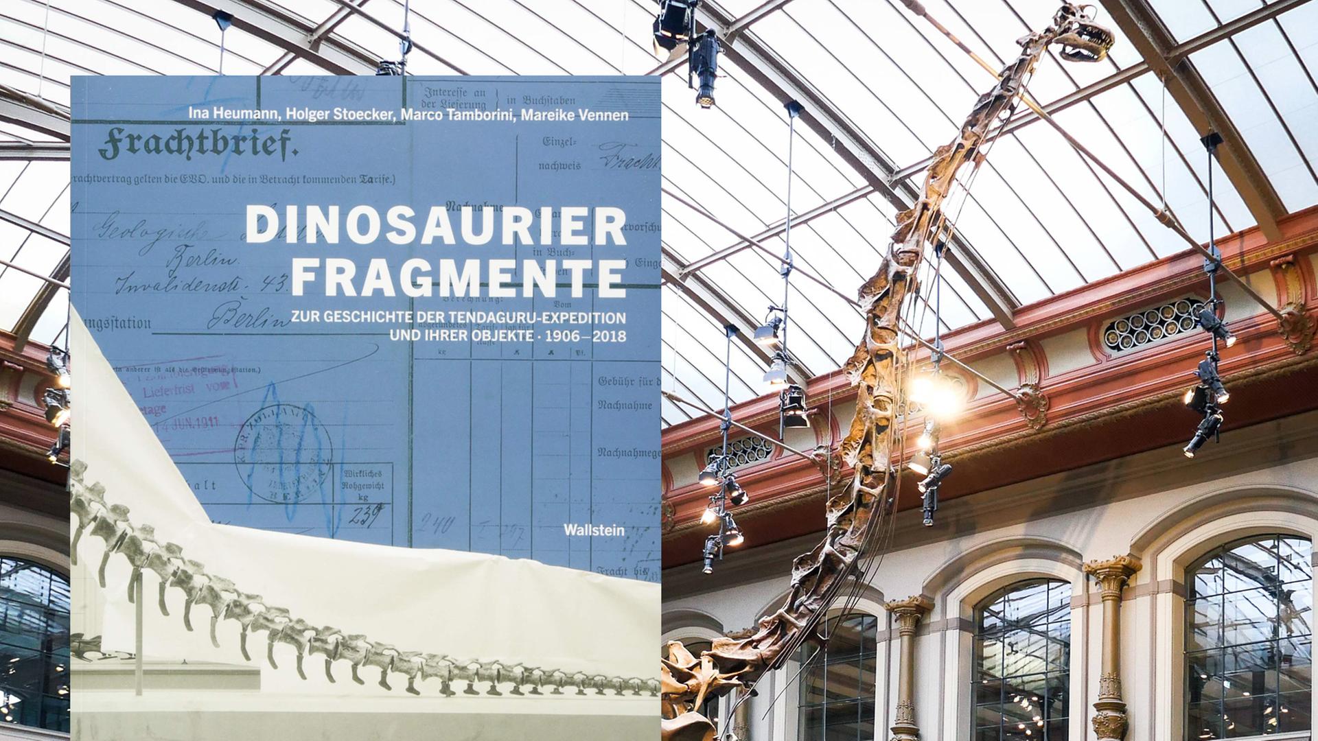 Der Brachiosaurus in der Halle des Berliner Naturkundemuseums. Der Brachiosaurus in der Halle des Berliner Naturkundemuseums.
