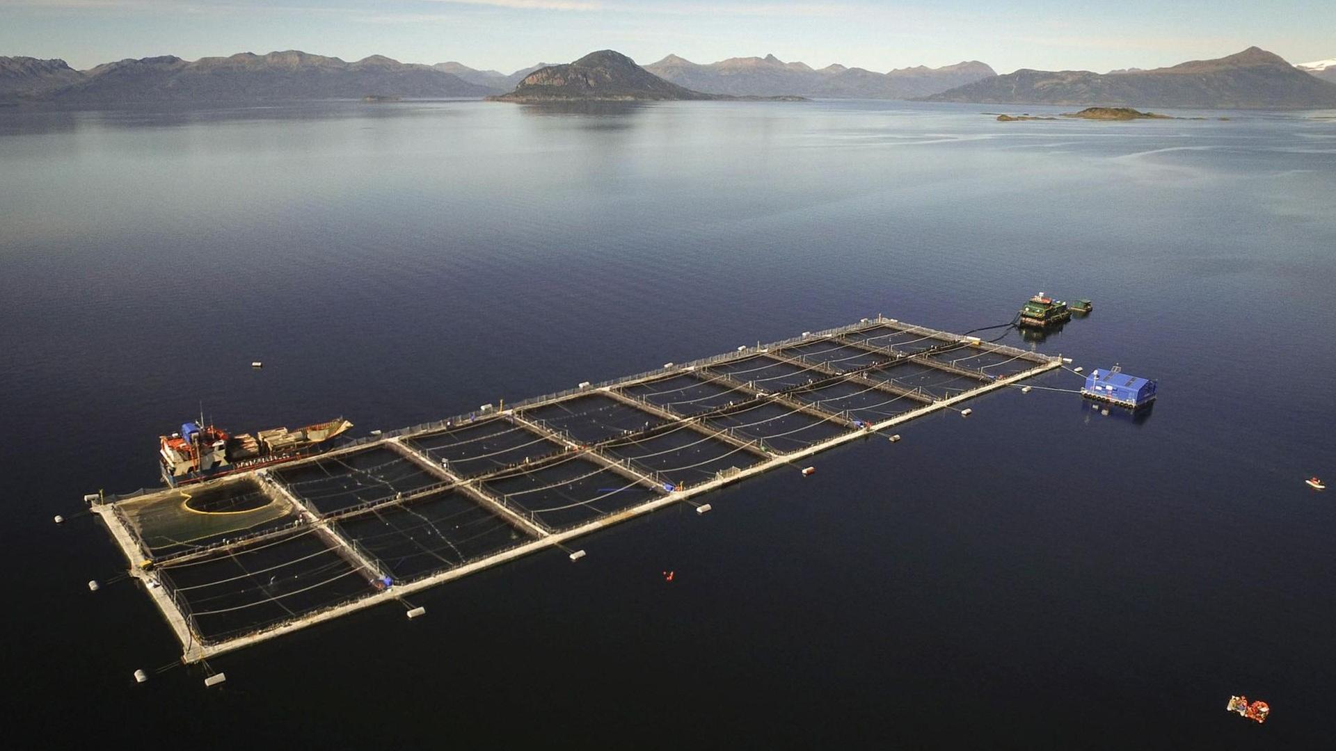 Eine Aquakulturfarm in Chile zur Lachszucht. Auf dem offenen Meer sind quadratische Netze im Wasser für die Lachse. Eine Aquakulturfarm in Chile zur Lachszucht. Auf dem offenen Meer sind quadratische Netze im Wasser für die Lachse.