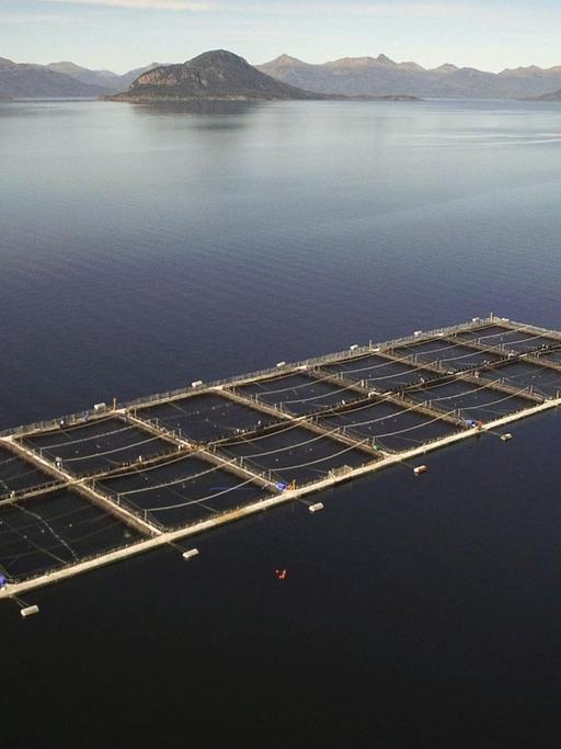 Eine Aquakulturfarm in Chile zur Lachszucht. Auf dem offenen Meer sind quadratische Netze im Wasser für die Lachse.