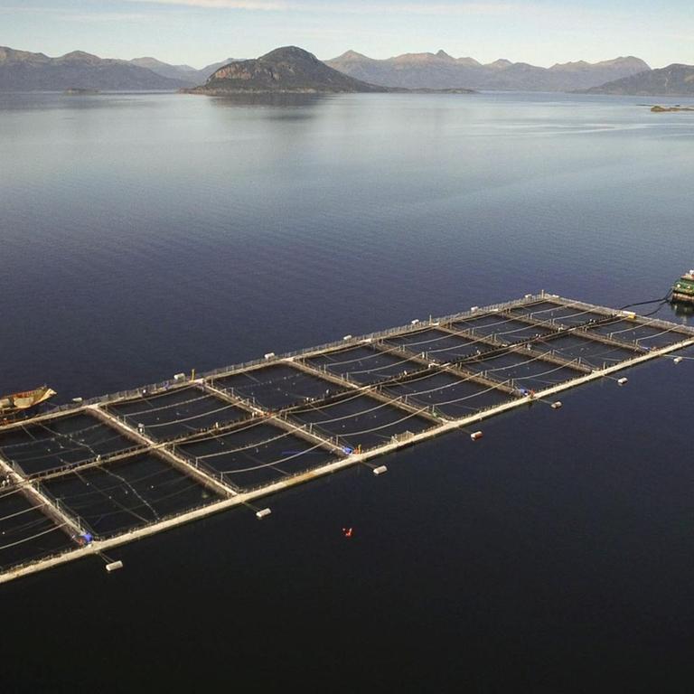 Eine Aquakulturfarm in Chile zur Lachszucht. Auf dem offenen Meer sind quadratische Netze im Wasser für die Lachse.