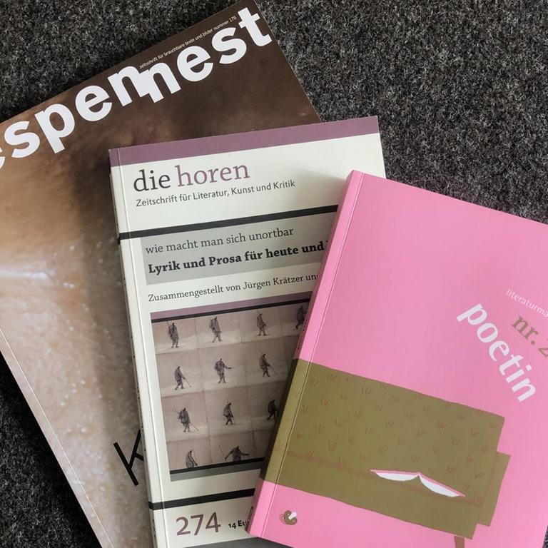 Literaturzeitschriften lesen – Salons, Versuchslabore, Dilettantenspielwiesen
