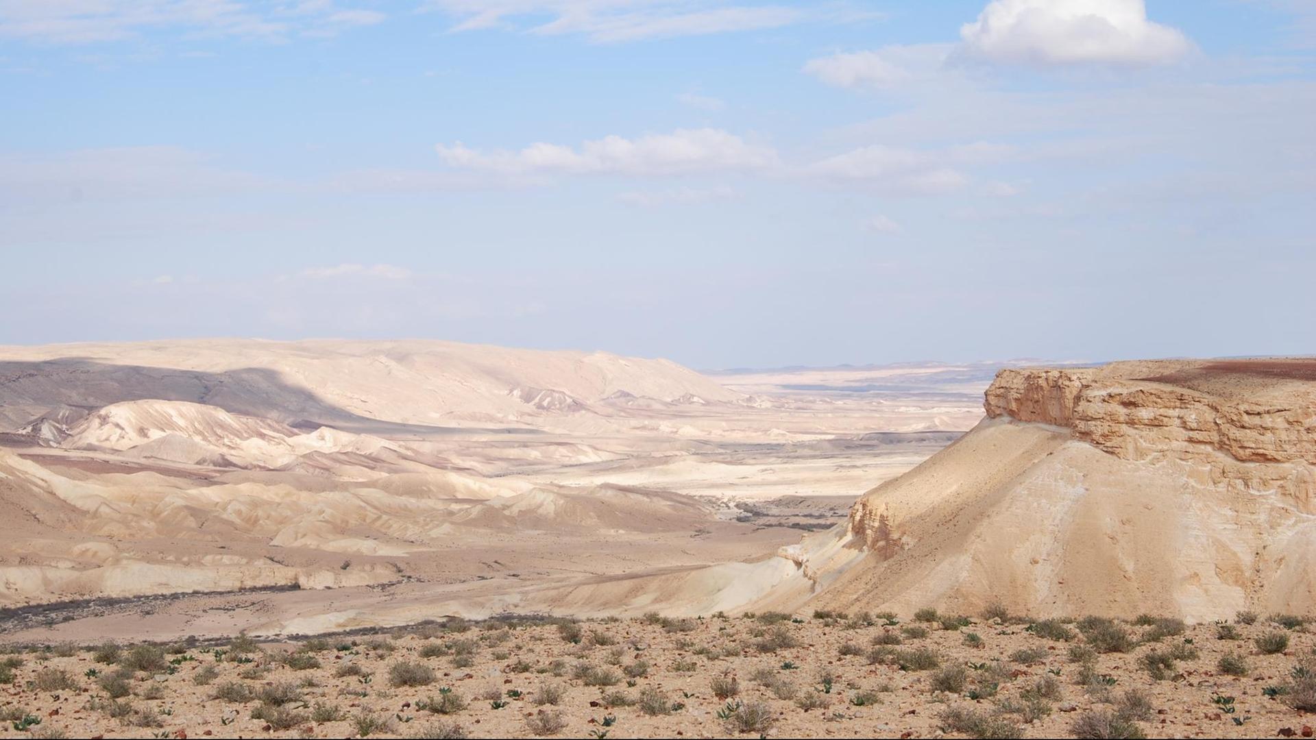 Die Wüste Negev Die Wüste Negev