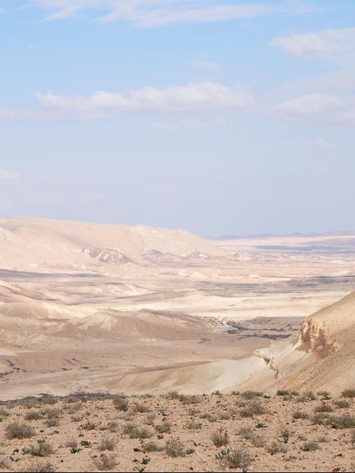Die Wüste Negev