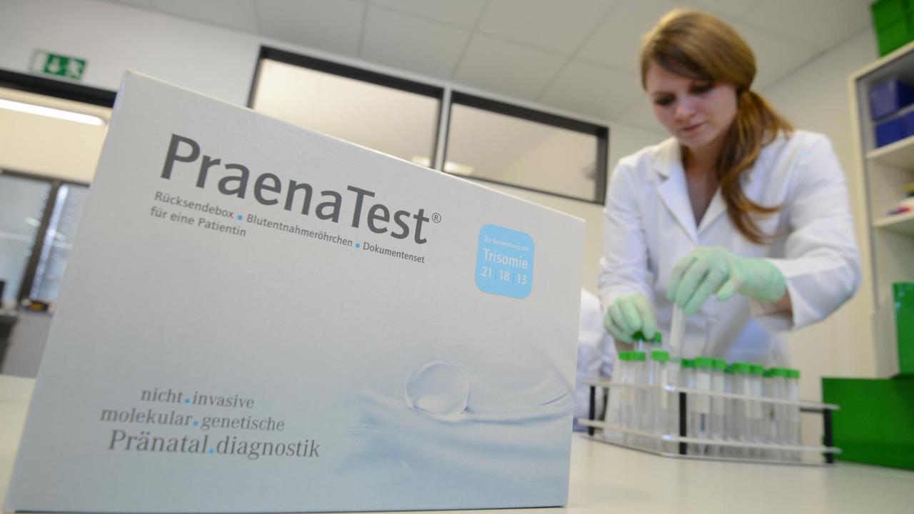 Die Medizinisch Technische Assistentin überprüft die Blutproben von schwangeren Frauen Die Medizinisch Technische Assistentin überprüft die Blutproben von schwangeren Frauen