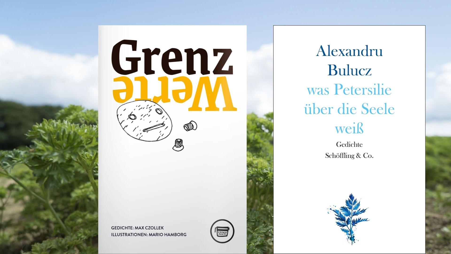 Buchcover links: Max Czollek: „Grenzwerte“, Buchcover rechts: Alexandru Bulucz: „was Petersilie über die Seele weiß"