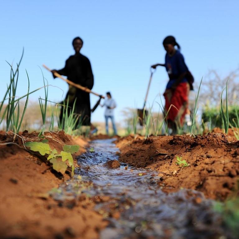Die Region am Horn von Afrika war einst grün, jetzt ist sie nach der schlimmsten Dürre in 60 Jahren vertrocknet und staubig