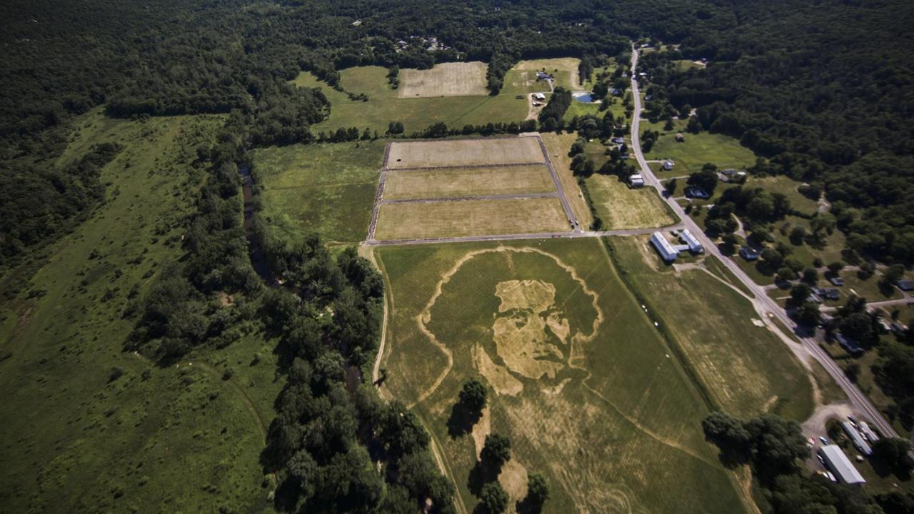 Der Künstler Roger Baker erschuf ein Porträt von Ludwig van Beethoven als Grasrelief, welches nur aus der Luft zu erkennen ist. Der Künstler Roger Baker erschuf ein Porträt von Ludwig van Beethoven als Grasrelief, welches nur aus der Luft zu erkennen ist.