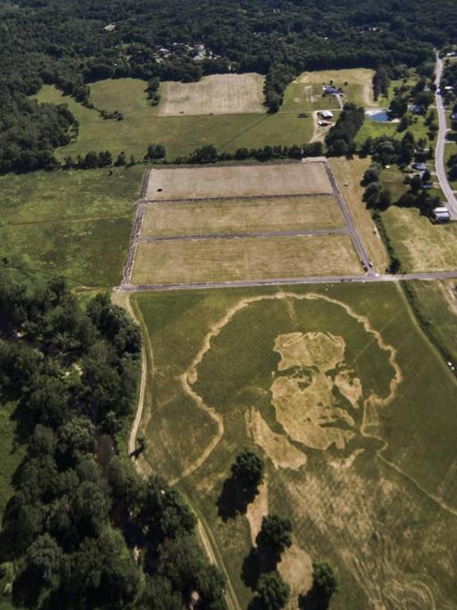 Der Künstler Roger Baker erschuf ein Porträt von Ludwig van Beethoven als Grasrelief, welches nur aus der Luft zu erkennen ist.