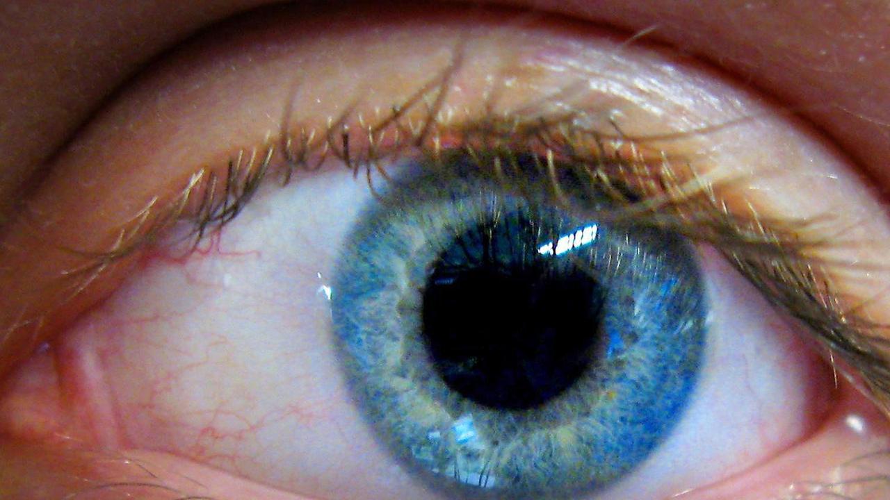 Ein menschliches Auge Ein menschliches Auge