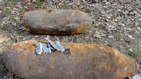 Zwei Fliegerbomben im Forst Potsdam, gefunden am 5.3.2015