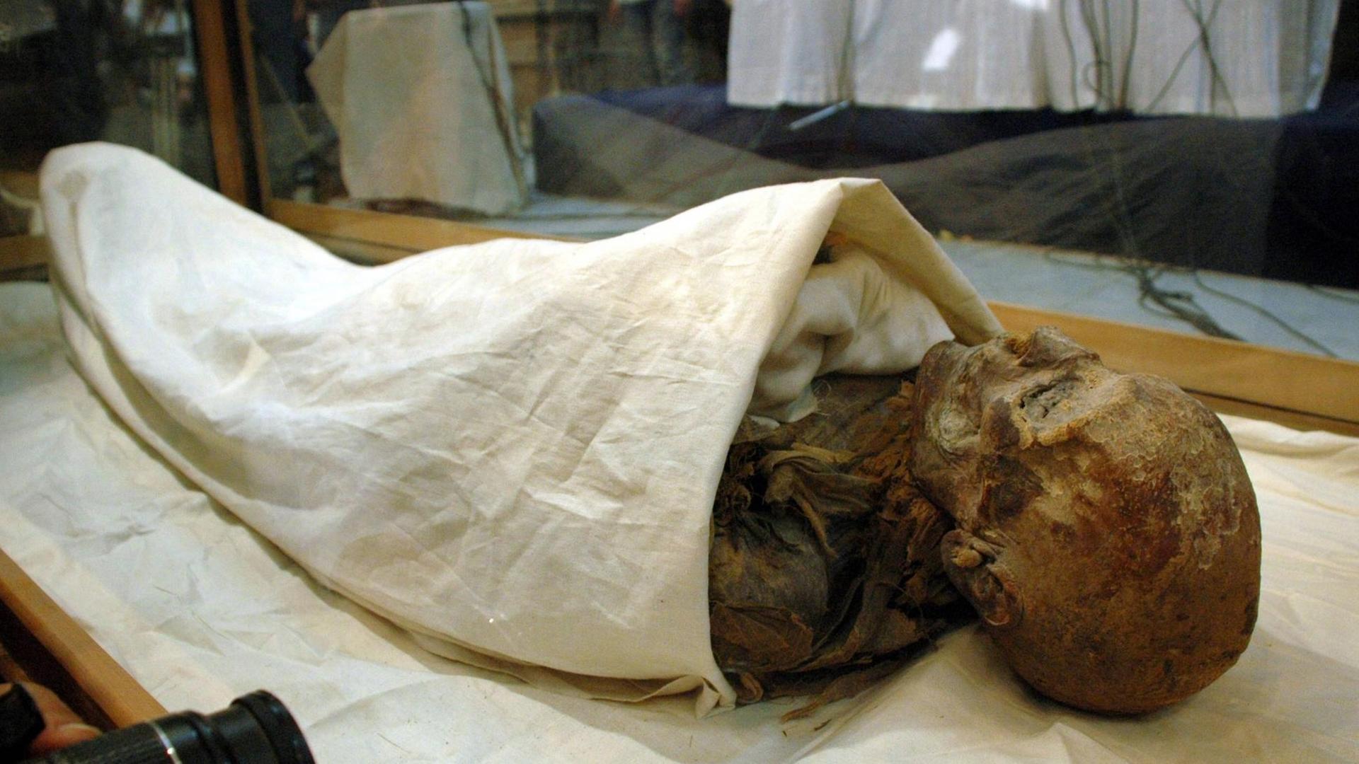 Eine Mumie ist zum Teil in ein weißes Tuch eingewickelt. Es handelt sich um den Leichnam von der alt-ägyptischen Herrscherin Hatschepsut in Kairo. Eine Mumie ist zum Teil in ein weißes Tuch eingewickelt. Es handelt sich um den Leichnam von der alt-ägyptischen Herrscherin Hatschepsut in Kairo.
