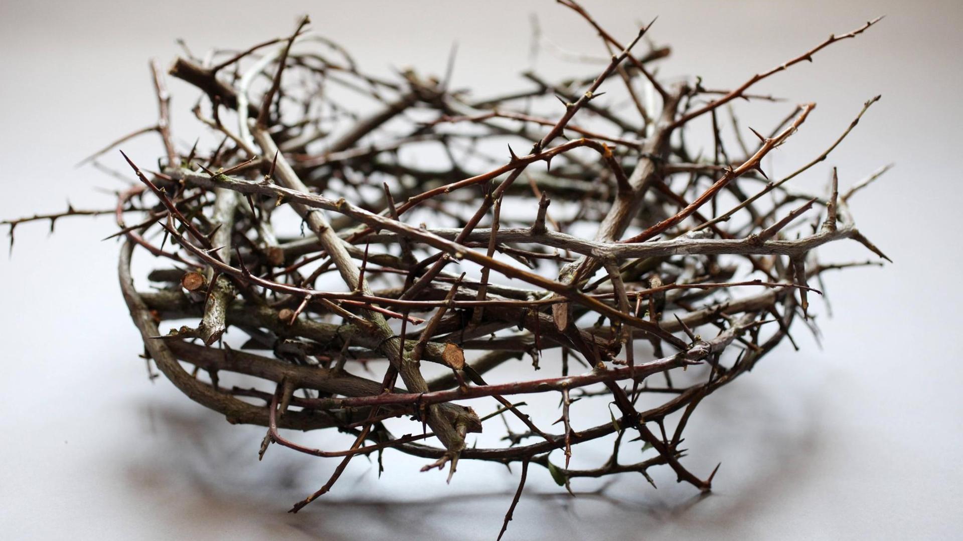 Eine Dornenkrone auf weissem Hintergrund: Die Evangelien berichten in Matthäus 27:29, Markus 15:17 und Johannes 19:2, dass Jesus von Nazaret von römischen Soldaten eine Krone aus Dornen aufgesetzt wurde. Eine Dornenkrone auf weissem Hintergrund: Die Evangelien berichten in Matthäus 27:29, Markus 15:17 und Johannes 19:2, dass Jesus von Nazaret von römischen Soldaten eine Krone aus Dornen aufgesetzt wurde.
