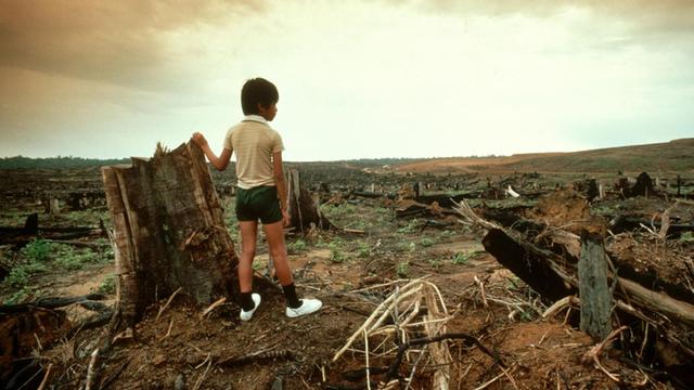 Ein Junge steht vor einer zerstörter Regenwaldfläche. Laut dem Artenschutz-Bericht der UN wurden zwischen 1980 und 2000 in den Tropen 100 Millionen Hektar Regenwald zerstört. Dieser wird eigentlich als Kohlenstoffspeicher der Erde gebraucht.