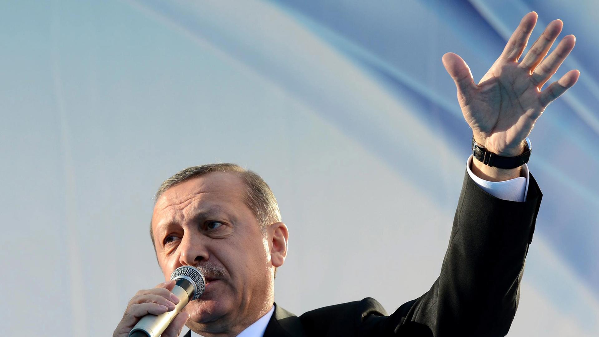 Der türkische Regierungschef Erdogan