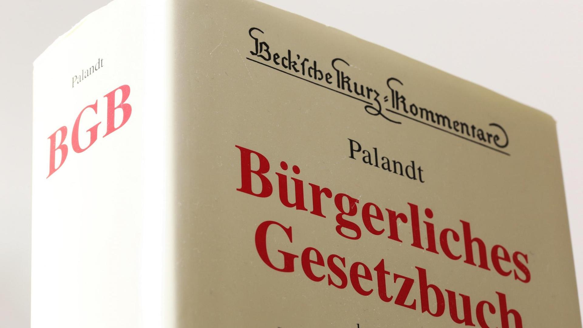 Nahaufnahme des "Palandt": ein juristisches Standadwerk zum Bürgerlichen Gesetzbuch. Das Buch ist sehr dick und hat einen weißen Umschlag, die Schrift darauf ist rot und schwarz. Nahaufnahme des "Palandt": ein juristisches Standadwerk zum Bürgerlichen Gesetzbuch. Das Buch ist sehr dick und hat einen weißen Umschlag, die Schrift darauf ist rot und schwarz.