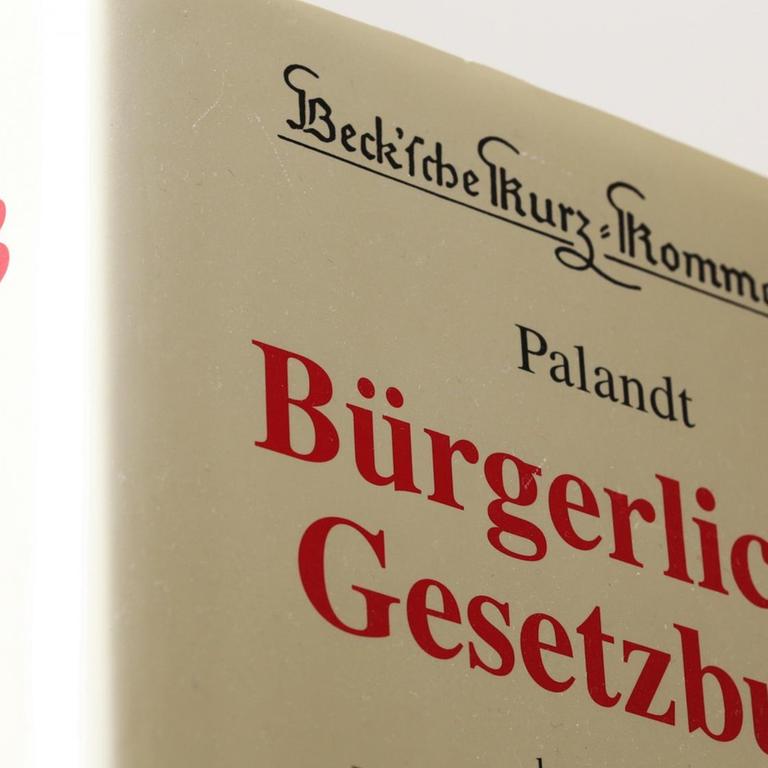 Nahaufnahme des "Palandt": ein juristisches Standadwerk zum Bürgerlichen Gesetzbuch. Das Buch ist sehr dick und hat einen weißen Umschlag, die Schrift darauf ist rot und schwarz. 
