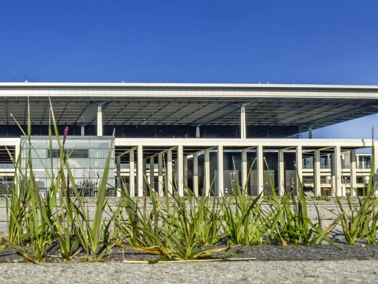 Gras wächst zwischen Bodenplatten vor dem Hauptgebäude des Flughafens Berlin Brandenburg "Willy Brandt" BER