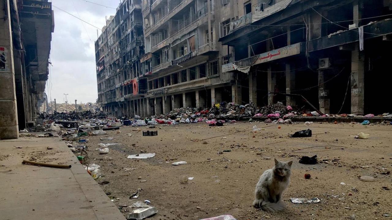 Eine verlassene Straße im Aleppo der Nachkriegszeit. Eine Katze sitzt zwischen Müllresten.