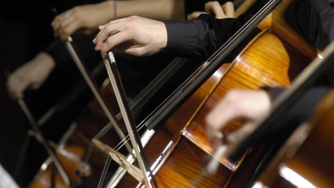 Hände von Cellisten streichen über die Saiten ihrer Instrumente.