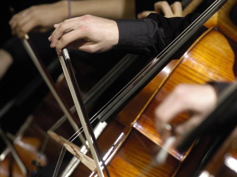 Hände von Cellisten streichen über die Saiten ihrer Instrumente.