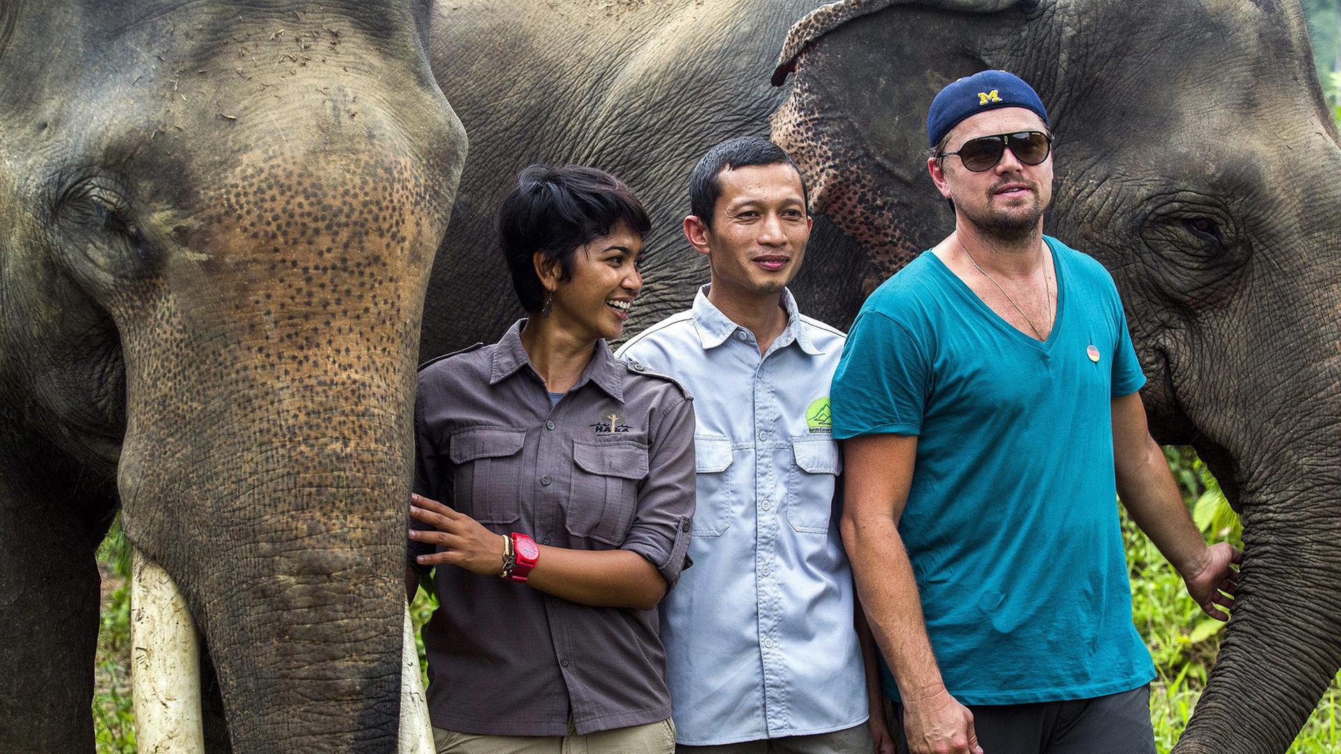 Schauspieler und Oscar-Gewinner Leonardo DiCaprio bei einem Besuch in Indonesien am 26 März 2016. Schauspieler und Oscar-Gewinner Leonardo DiCaprio bei einem Besuch in Indonesien am 26 März 2016.