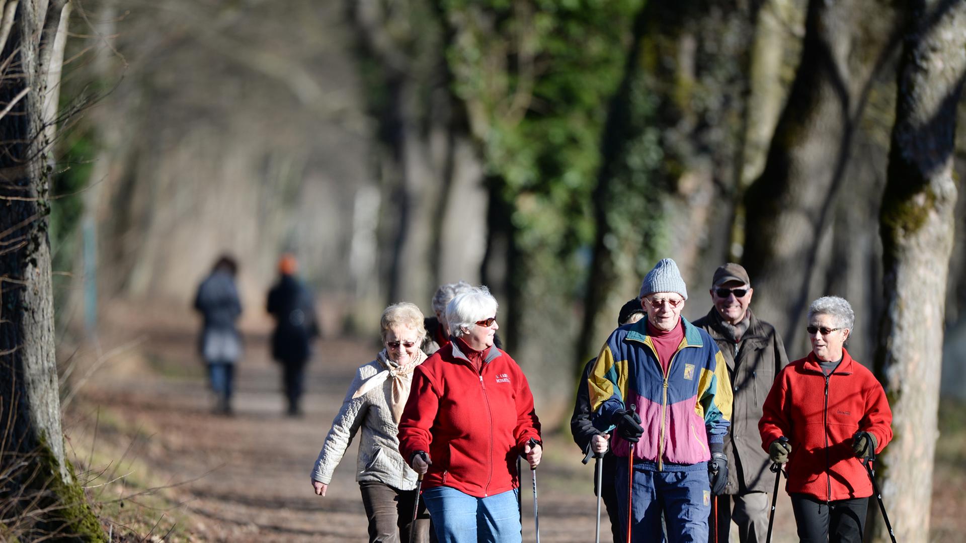 Eine Gruppe von Rentnern walkt mit Nordic-Walking-Stöcken auf einem Weg durch einen Wald. Eine Gruppe von Rentnern walkt mit Nordic-Walking-Stöcken auf einem Weg durch einen Wald.