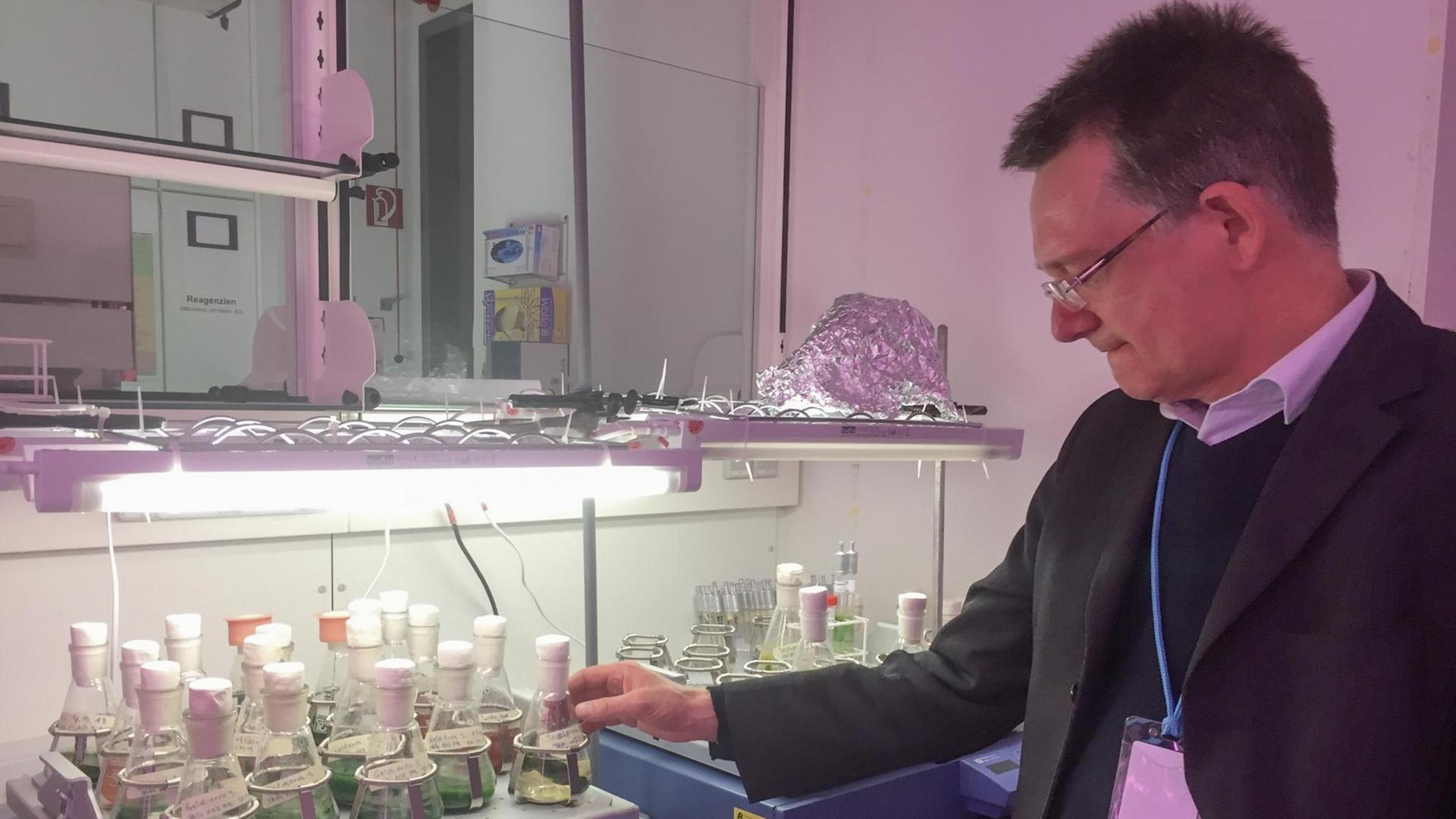 Prof. Jan-Heiner Küpper mit Spirulina-Algenkultur an der BTU Cottbus Senftenberg Prof. Jan-Heiner Küpper mit Spirulina-Algenkultur an der BTU Cottbus Senftenberg