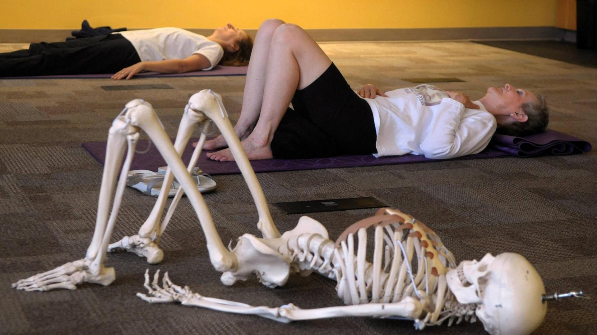 In einer Feldenkrais-Klasse liegen die Teilnehmer mit angewinkelten Beinen auf Matten auf dem Boden. Daneben das Modell eines Skeletts in der gleichen Körperhaltung. In einer Feldenkrais-Klasse liegen die Teilnehmer mit angewinkelten Beinen auf Matten auf dem Boden. Daneben das Modell eines Skeletts in der gleichen Körperhaltung.