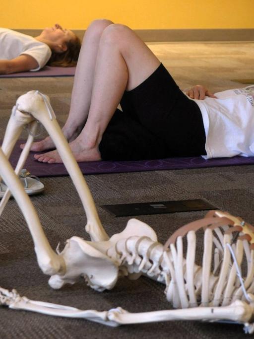 In einer Feldenkrais-Klasse liegen die Teilnehmer mit angewinkelten Beinen auf Matten auf dem Boden. Daneben das Modell eines Skeletts in der gleichen Körperhaltung.