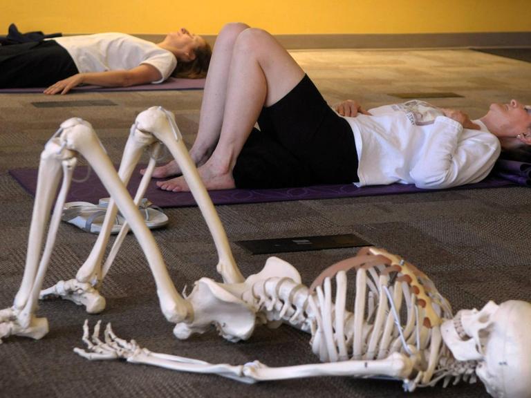 In einer Feldenkrais-Klasse liegen die Teilnehmer mit angewinkelten Beinen auf Matten auf dem Boden. Daneben das Modell eines Skeletts in der gleichen Körperhaltung.