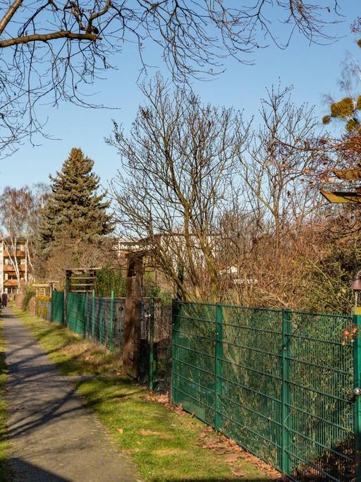 Blick auf eine Kleingartenkolonie mit Weg und grünen Metallzäunen.