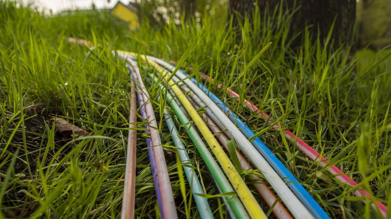 Kabel für den Breitband-Internet-Ausbau liegen auf einer Wiese zwischen Grashalmen, im Hintergrund ist schemenhaft ein Haus zu erkennen. Kabel für den Breitband-Internet-Ausbau liegen auf einer Wiese zwischen Grashalmen, im Hintergrund ist schemenhaft ein Haus zu erkennen.