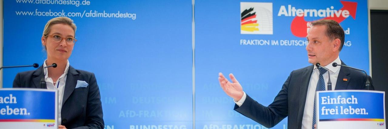 Alice Weidel und Tino Chrupalla stehen an Redner-Pulten und reden. Alice Weidel und Tino Chrupalla stehen an Redner-Pulten und reden.